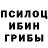 Галлюциногенные грибы прущие грибы Zhako Kozhanov